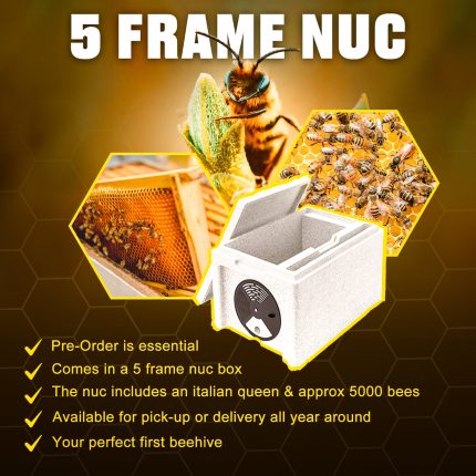 5 frame nuc